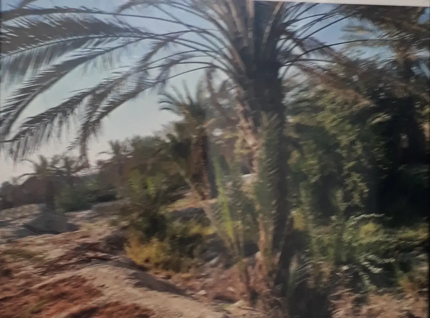 فروش زمین|فروش زمین و ملک کلنگی|بند زرک, |دیوار