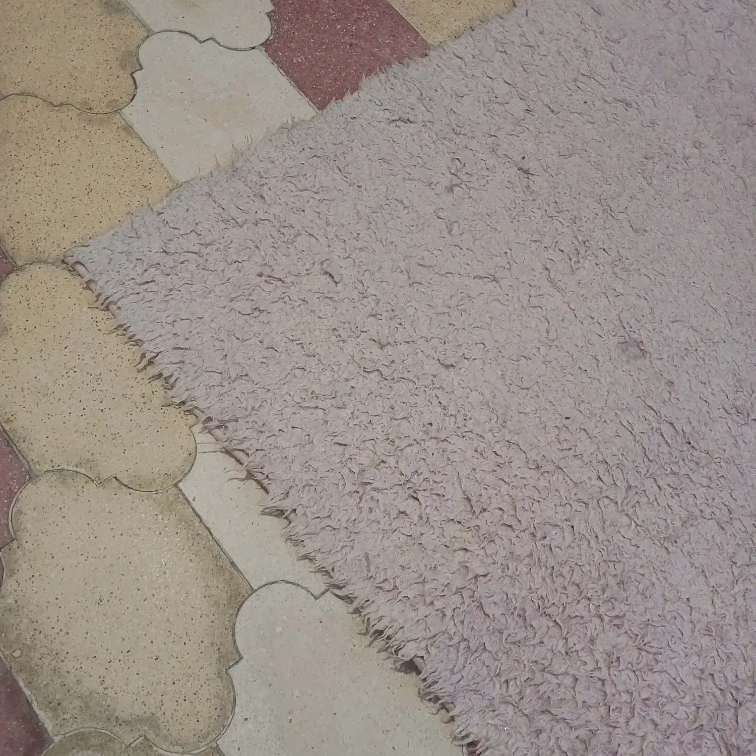 فرش ( قالی ) فانتزی|فرش|شیراز, تندگویان|دیوار