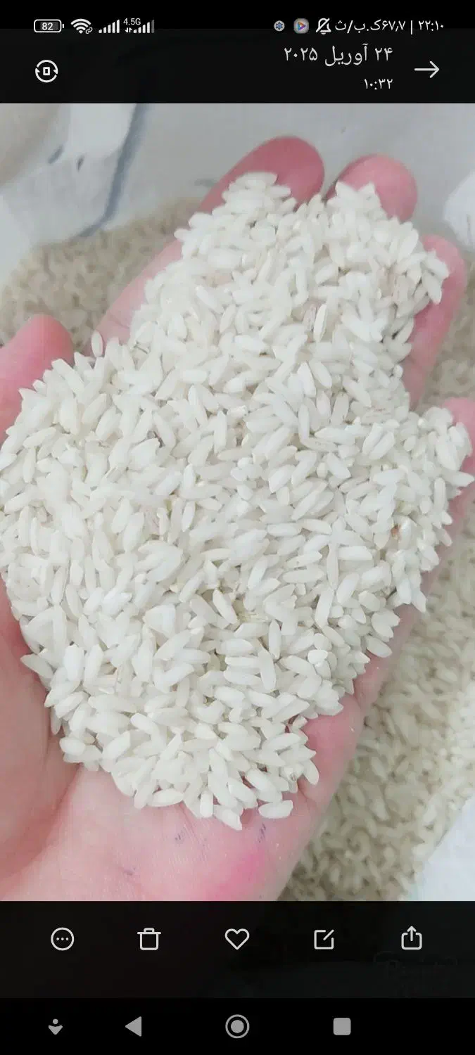 برنج|خوردنی و آشامیدنی|شوشتر, |دیوار