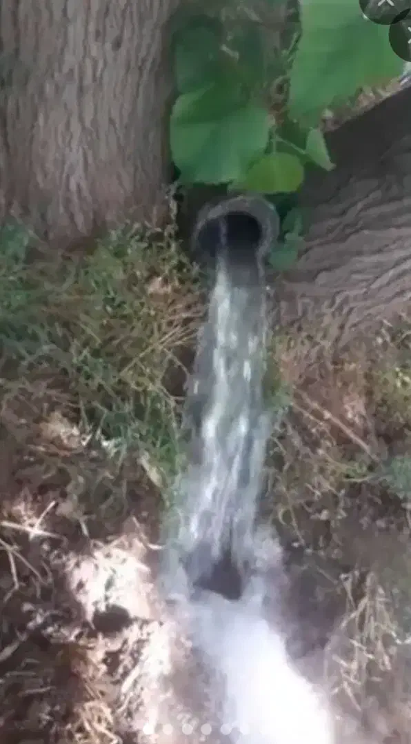 باغ گردو ومیوه پل چهر روبروی باربری نوروزی|فروش دفتر صنعتی، کشاورزی، تجاری|بیستون, |دیوار