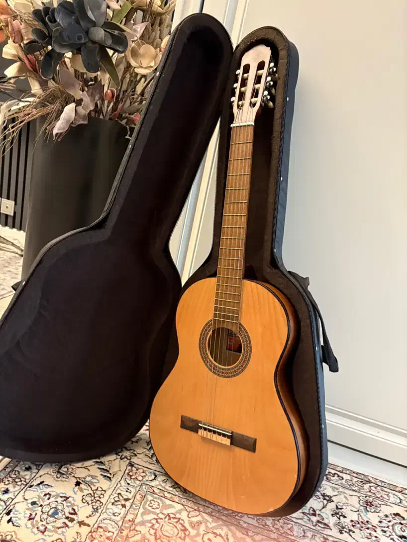 گیتار کلاسیک رویال|گیتار، بیس، امپلیفایر|تهران, چیذر|دیوار