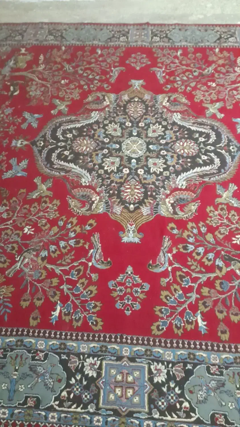 فروشی|فرش|نیشابور, فضل|دیوار