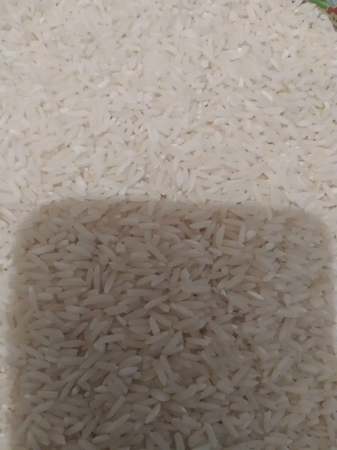 برنج‌طارم|خوردنی و آشامیدنی|گیلان غرب, |دیوار