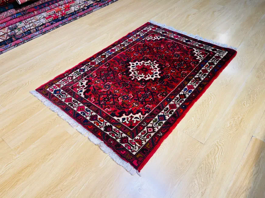 ذرع نیم حسین اباد همدان|فرش|تهران, سلسبیل شمالی|دیوار