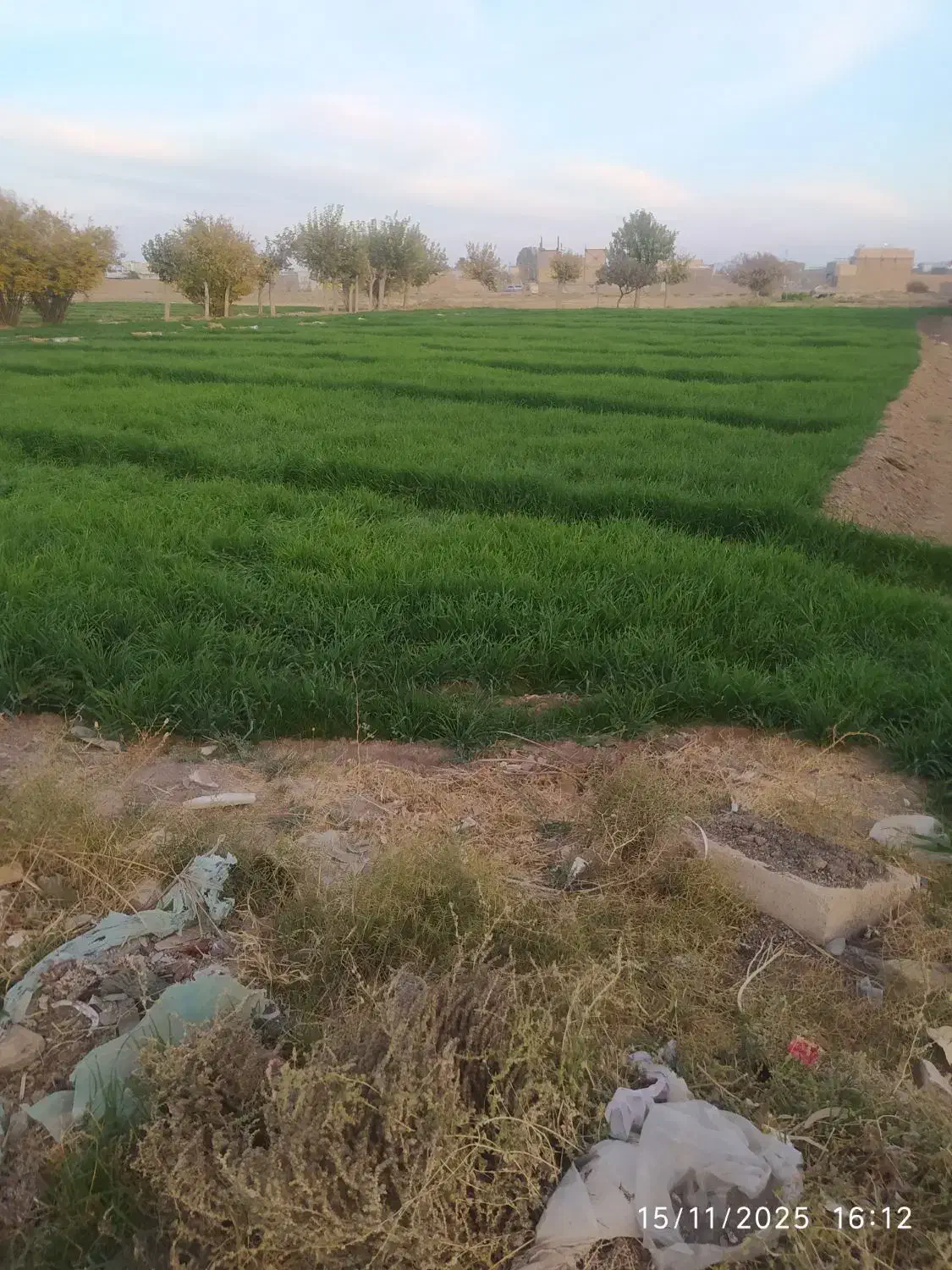 جوعلف|لوازم جانبی حیوانات|گناباد, |دیوار