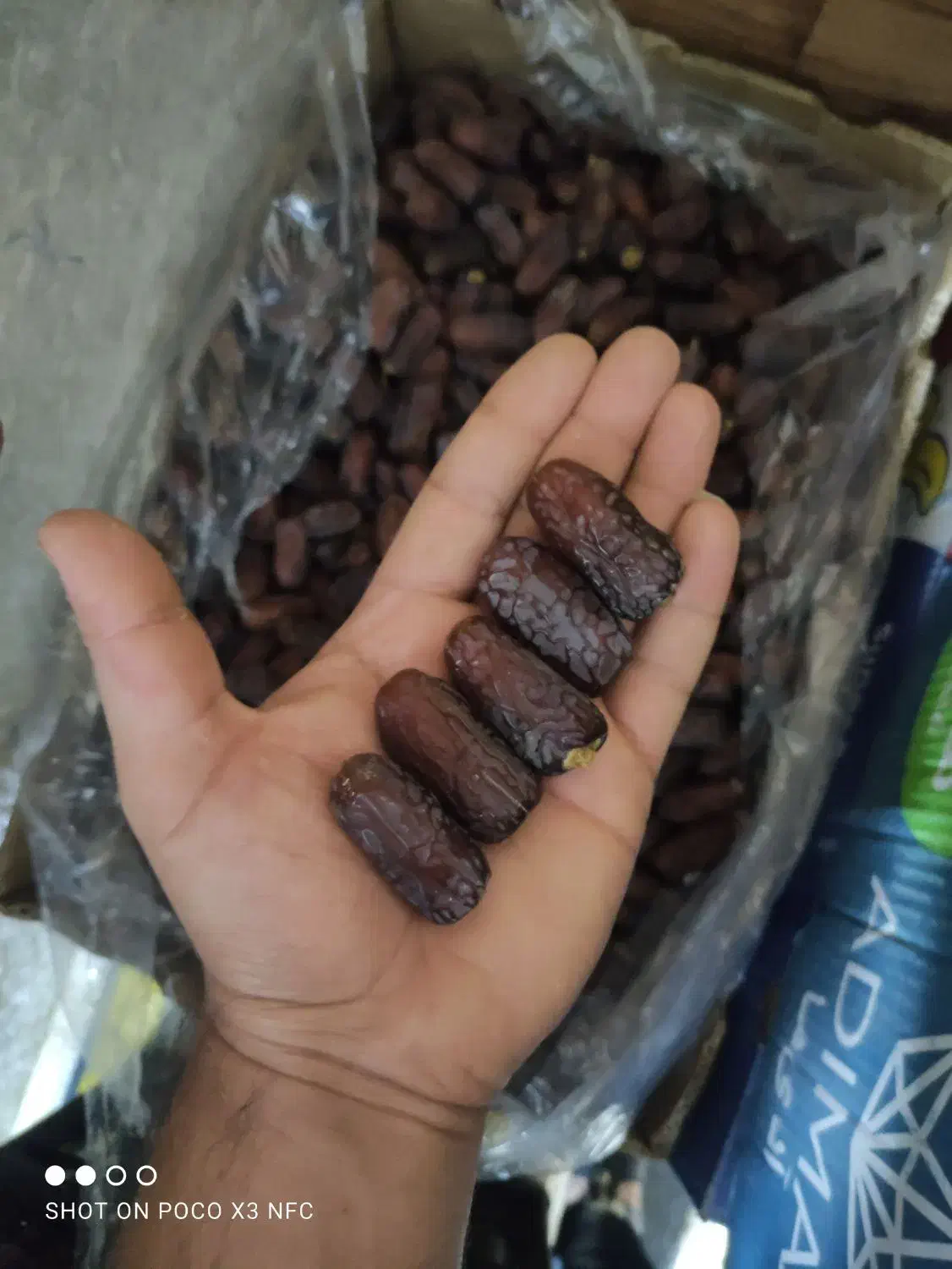 خرمای پیارم سوپر کیلو ۴۰۰|خوردنی و آشامیدنی|یزد, |دیوار