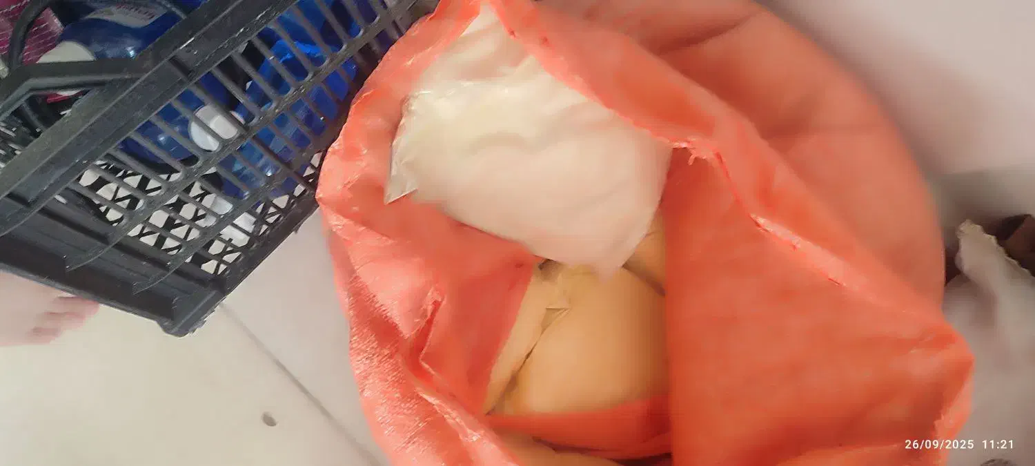 انواع شوینده|مواد شوینده و دستمال کاغذی|سرپل ذهاب, |دیوار