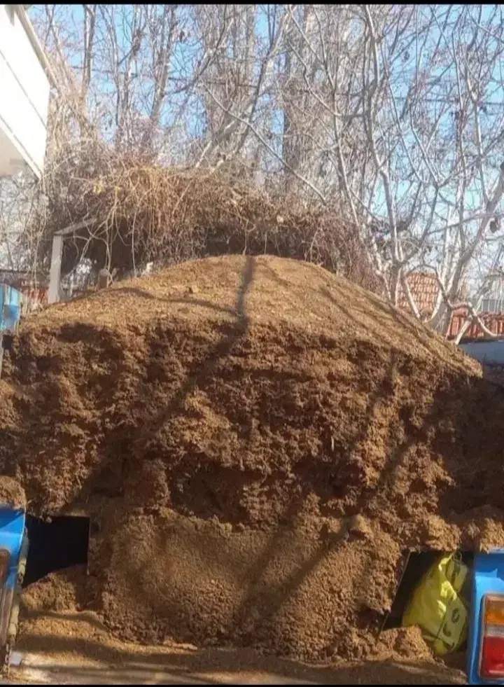 کود حیوانی ،اسبی،گاوی،گوسفندی|خدمات باغبانی و درختکاری|کرج, اتمسفر|دیوار