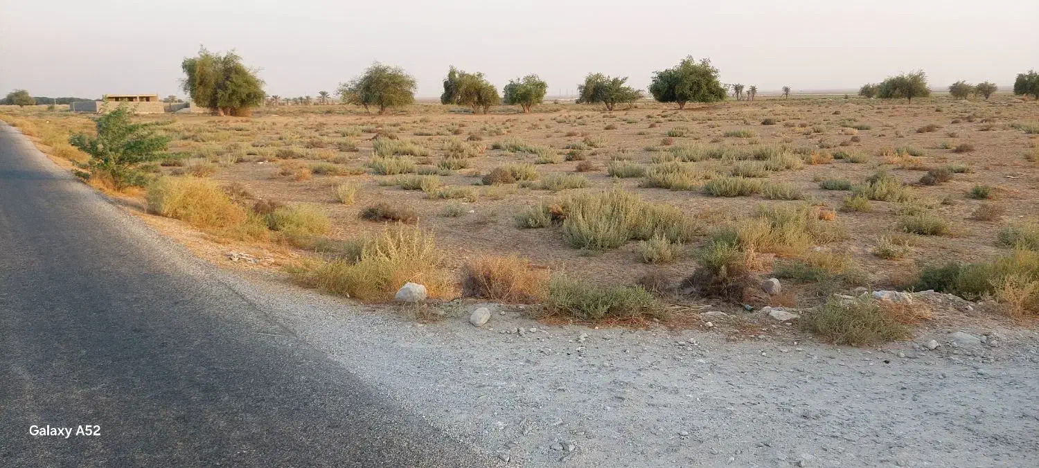 زمین چاه پیر|فروش دفتر صنعتی، کشاورزی، تجاری|اهرم, |دیوار