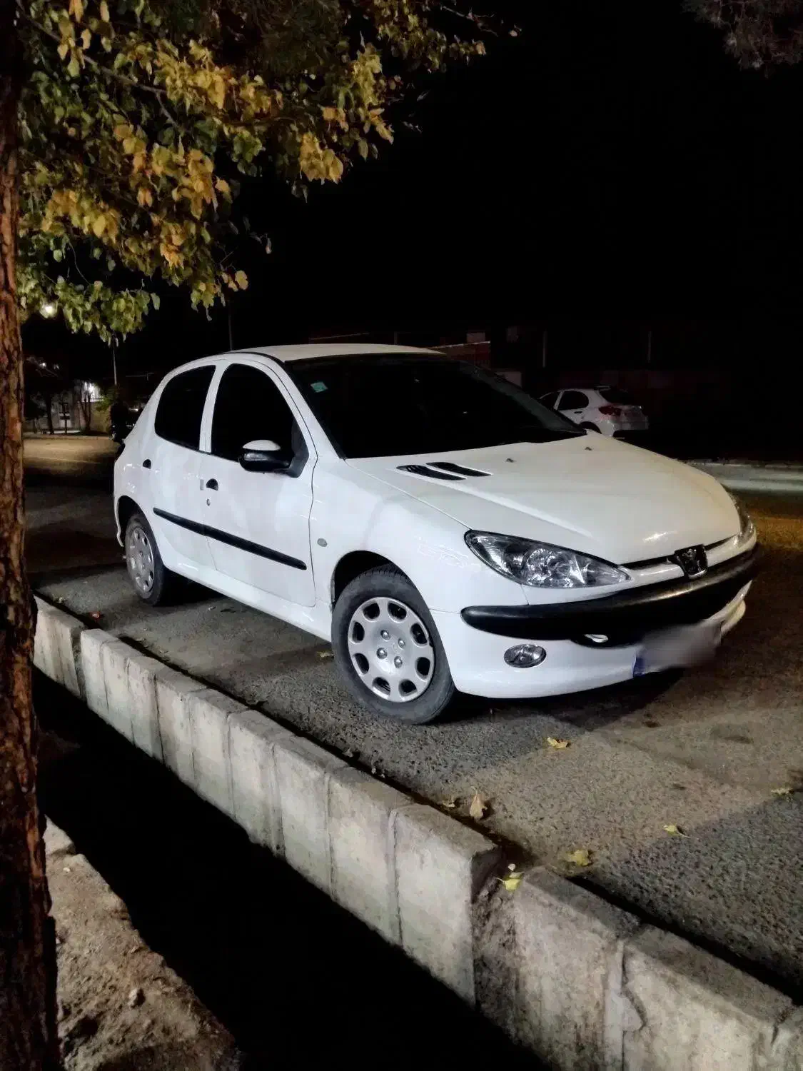 پژو۲۰۶تیپ۵|خودرو سواری و وانت|سبزوار, توحیدشهر|دیوار