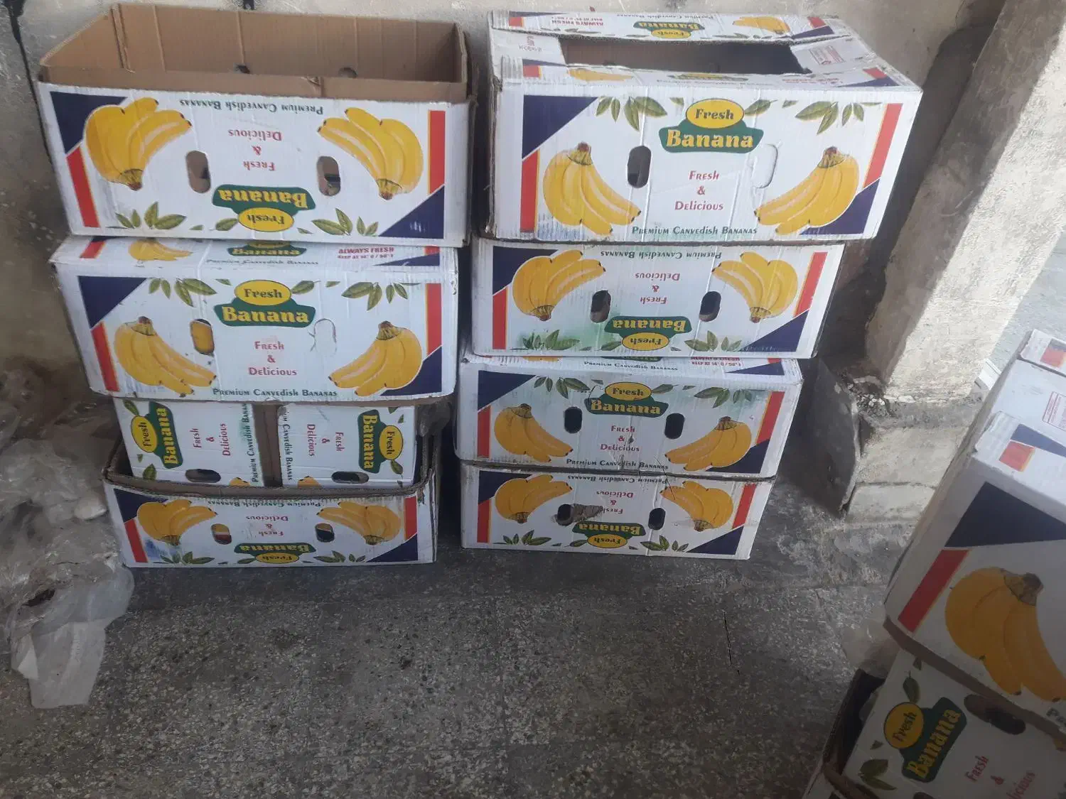 فروش تعدادی کارتن خالی جهت اسباب کشی|حراج|شیراز, شهرک امیر کبیر|دیوار