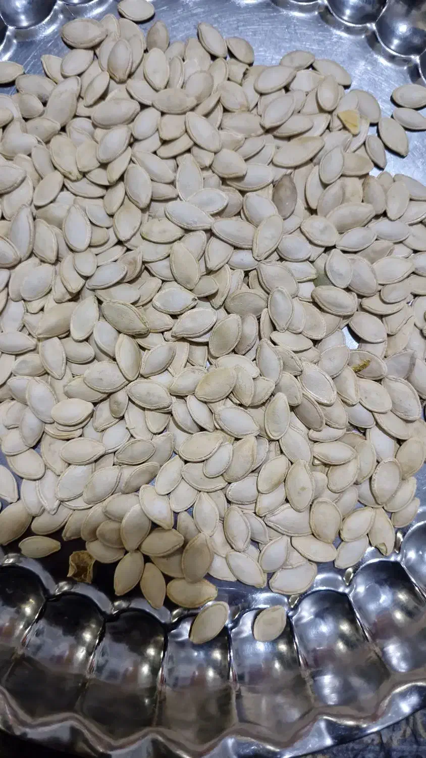 تخمه کدو تخمه|خوردنی و آشامیدنی|آوج, |دیوار