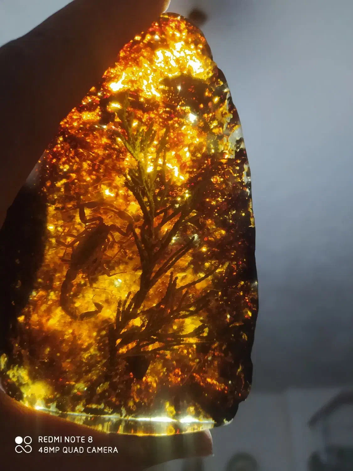 کهربا عتیقه|جواهرات|کبودرآهنگ, |دیوار