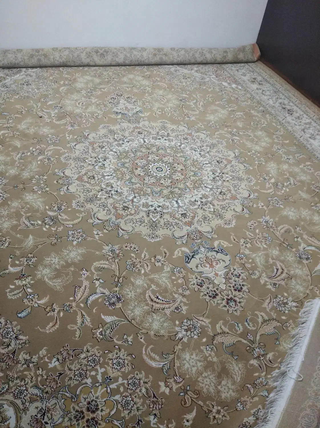 قالی ۱۲ متری|فرش|شیراز, کوی زهرا|دیوار