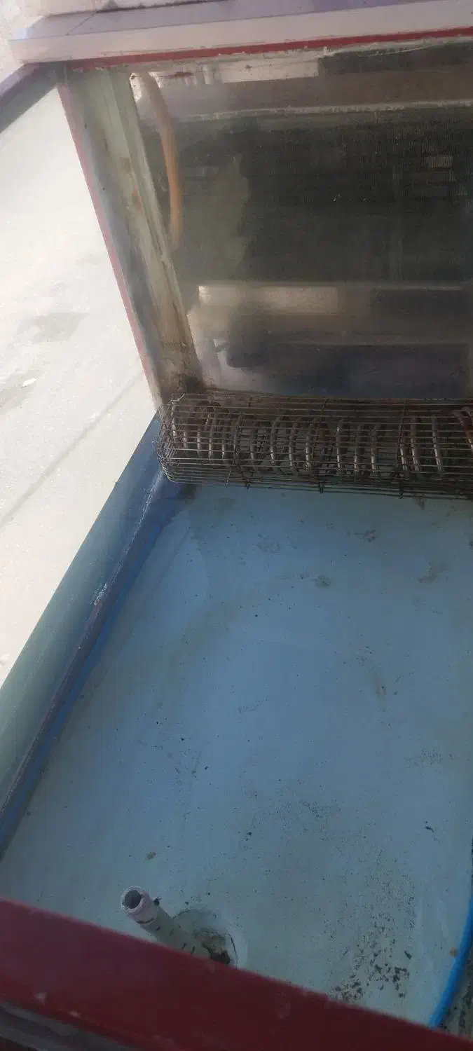 اکواریوم|ماهی|سنندج, |دیوار