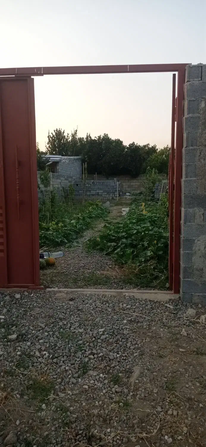 فروش یک قطعه زمین در مشهدی کلا|فروش زمین و ملک کلنگی|امیرکلا, |دیوار