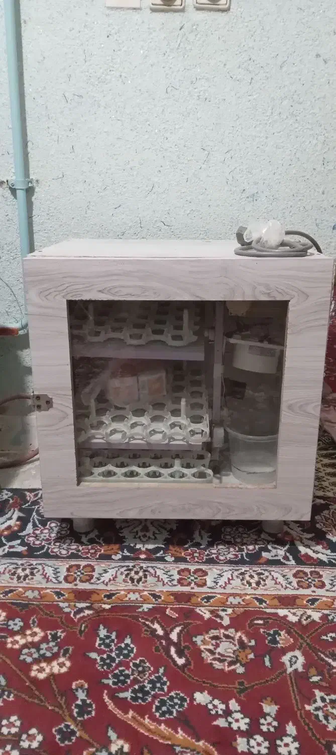 دستگاه جوجه کشی|لوازم جانبی حیوانات|قرق, |دیوار