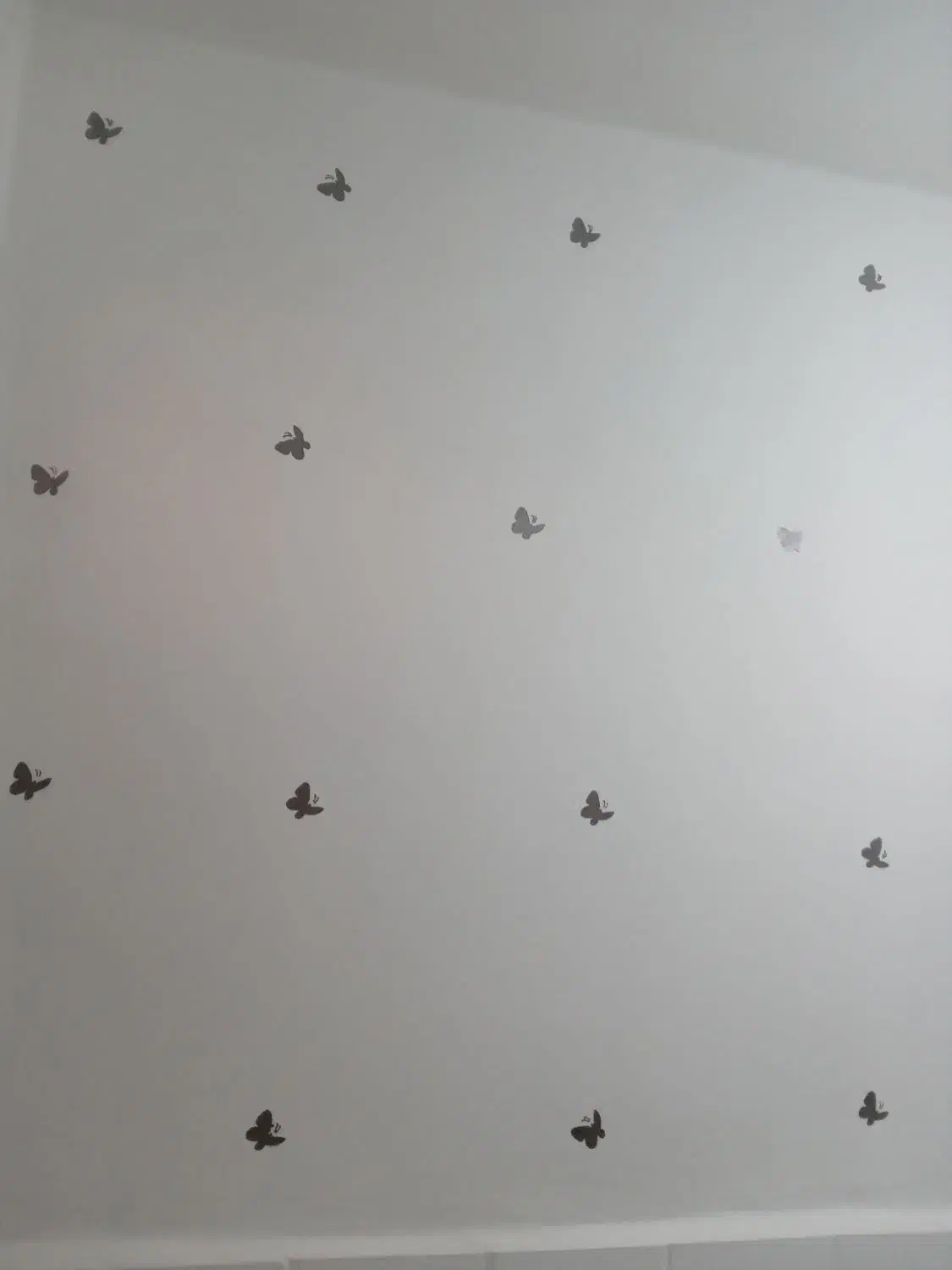 رنگ آمیزی ساختمان و درب پنجره|خدمات پیشه و مهارت|سوسنگرد, |دیوار