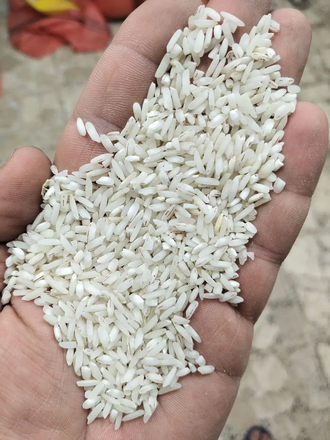 برنج هاشمی عطری|عمدهفروشی|رشت, جانبازان|دیوار