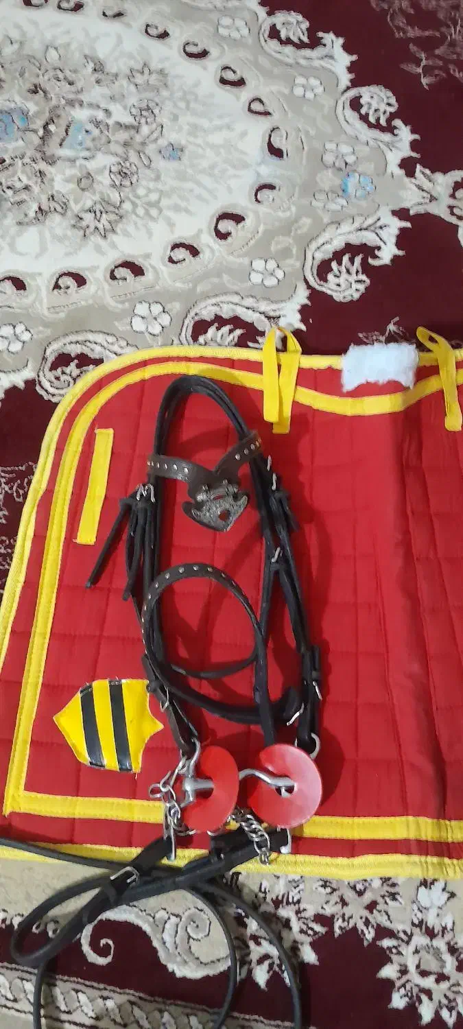 لوازم اسب|اسب و تجهیزات اسب‌سواری|اردبیل, |دیوار