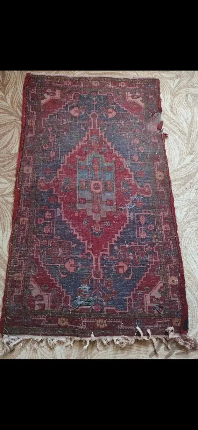 فرش دستبافت|فرش|بروجرد, |دیوار