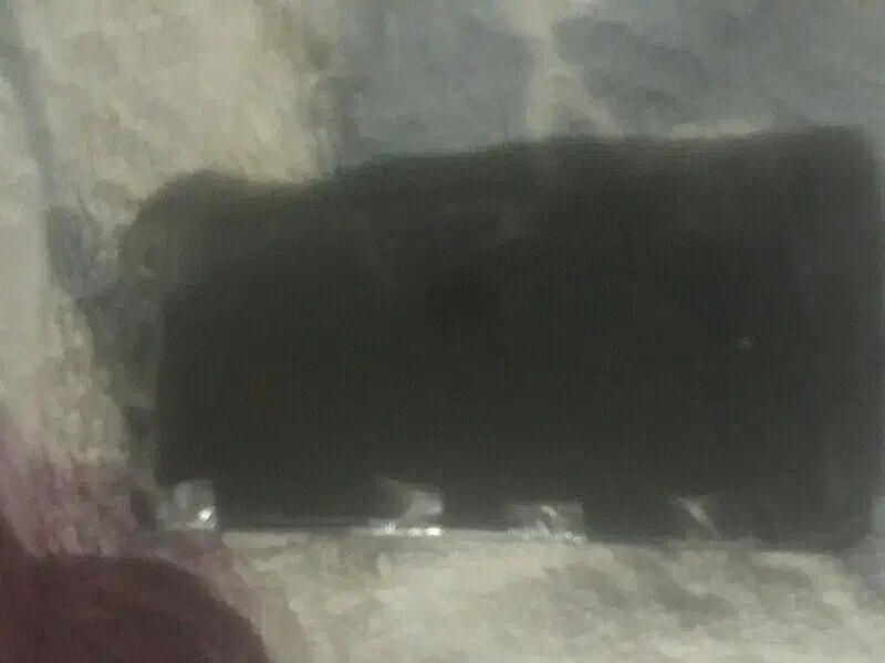 a21s|موبایل|بجنورد, |دیوار