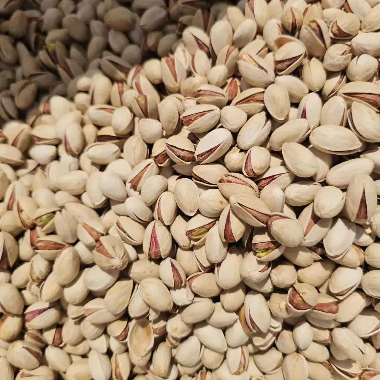 پسته و خرما کاملاً ارگانیک|عمدهفروشی|بافق, |دیوار