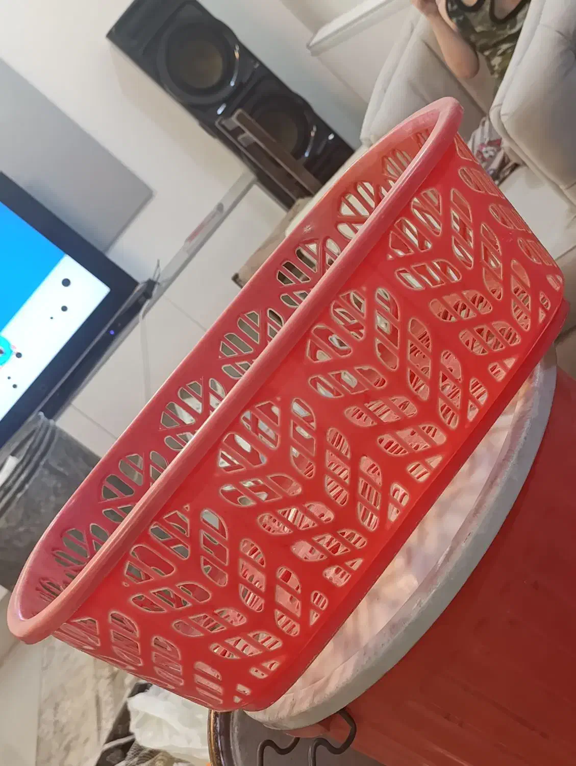 سطل بزرگ با سبد|ظروف نگهدارنده، پلاستیکی، یک‌بارمصرف|مشهد, کشف|دیوار