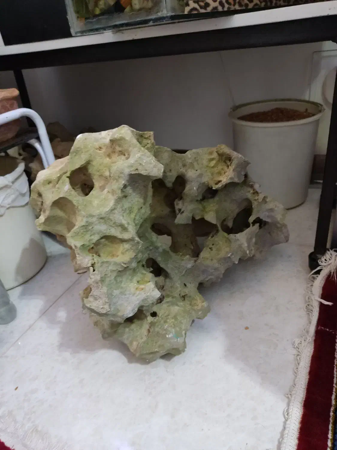 لوازم آکواریوم ماهی صخره طبیعی|ماهی|قزوین, |دیوار