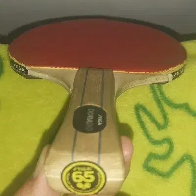 راکت دورادو|ورزشهای توپی|قائن, |دیوار