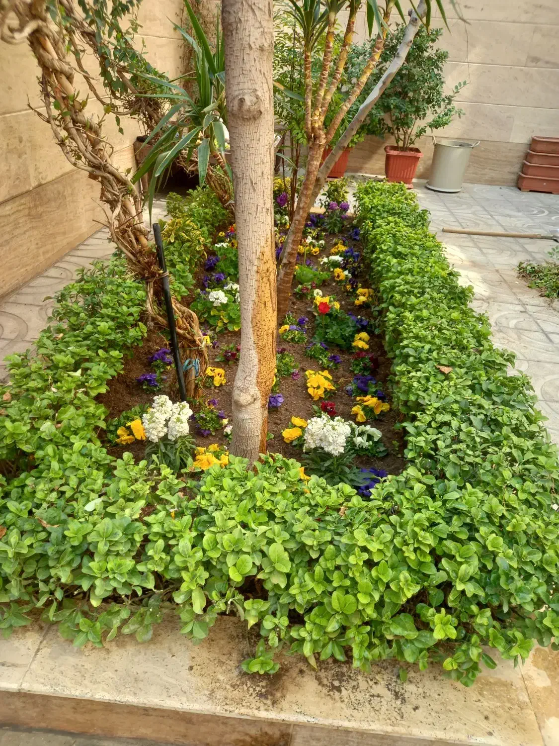 باغبانی و هرس کاری وکاشت ، سمپاشی در سراسر تهران|خدمات باغبانی و درختکاری|تهران, سید خندان (جلفا)|دیوار