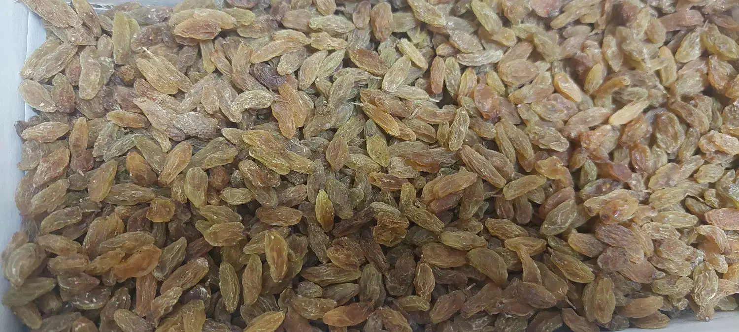 کشمش و شیره انگور ارگانیک|خوردنی و آشامیدنی|نیشابور, هفده شهریور|دیوار