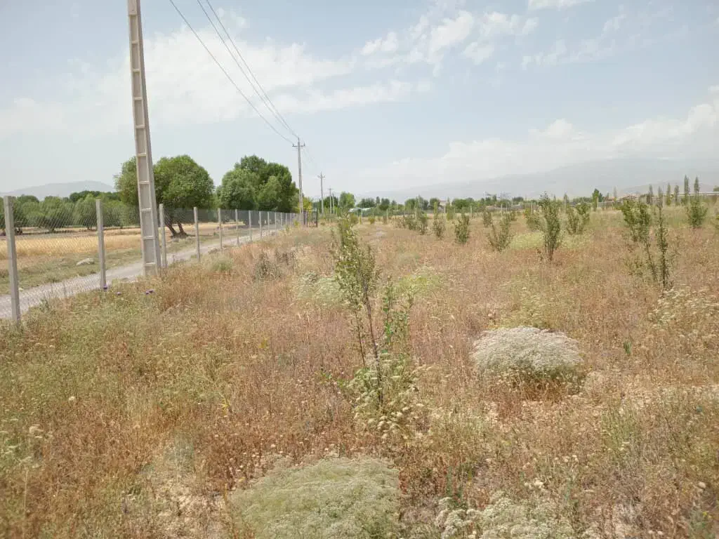 باغ ۹۰۰۰هزار متر|فروش زمین و ملک کلنگی|نیر (اردبیل), |دیوار