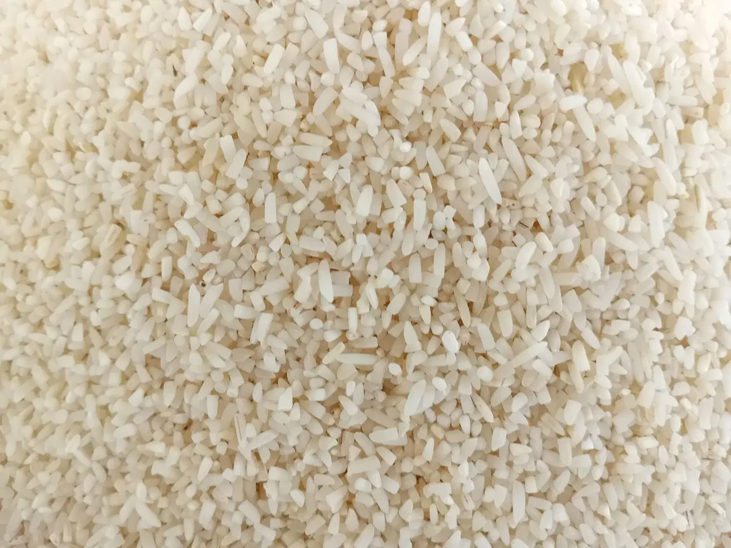 نیم دانه هاشمی سورتینگ|خوردنی و آشامیدنی|کوچصفهان, |دیوار