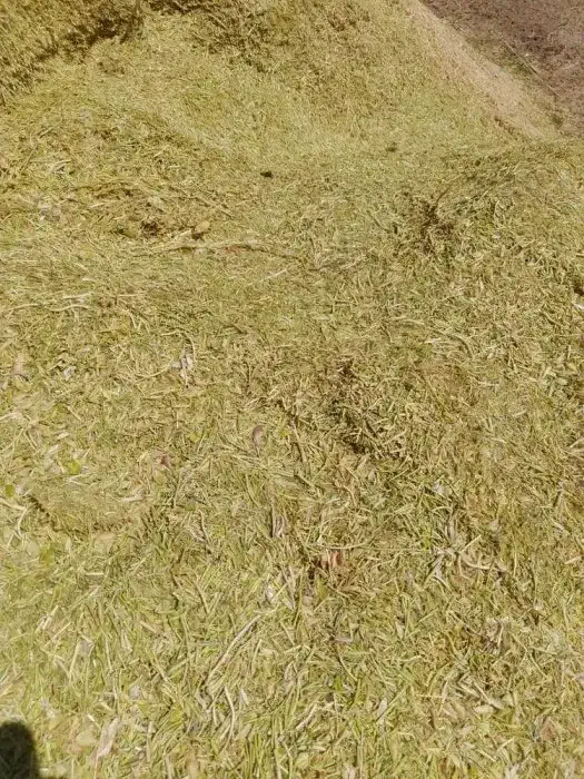 فروش کاه عدس|حیوانات مزرعه|یاسوج, |دیوار