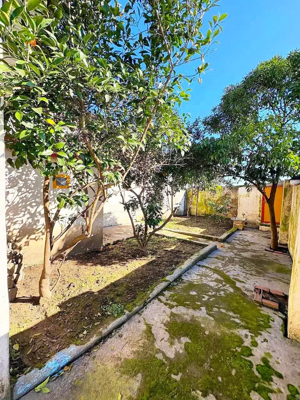 ویلاباغ۲۷۰متری/بافت مسکونی/۳کنتورنصب/اسنادکامل|فروش خانه و ویلا|فریدونکنار, |دیوار