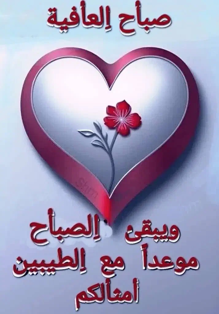 09166179650/09163931847|سیم‌کارت|اهواز, اهواز|دیوار