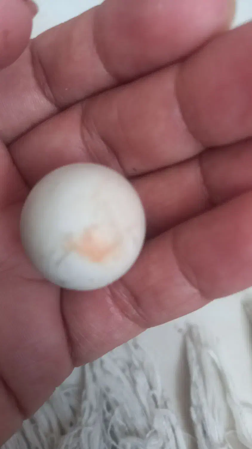 سنگ آسیاب فروشی با شهاب سنگ|جواهرات|تهران, افسریه جنوبی|دیوار