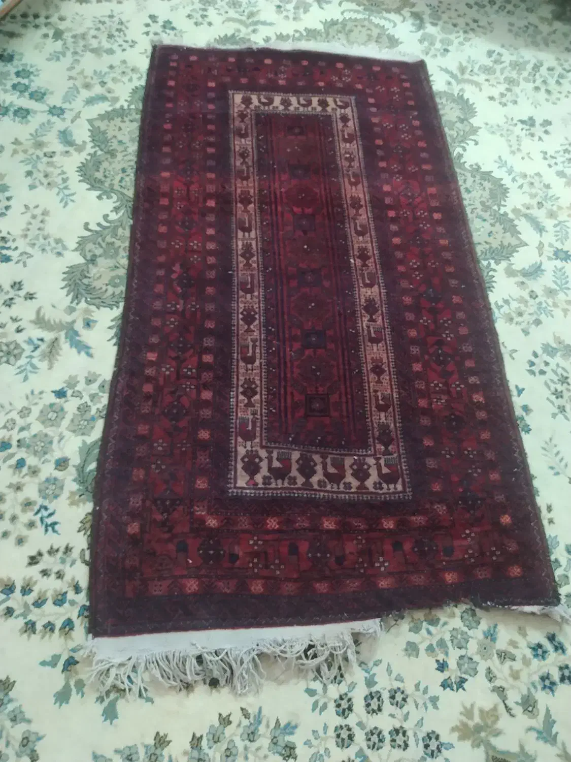 قالیچه دستبافت|فرش|مشهد, بهمن|دیوار