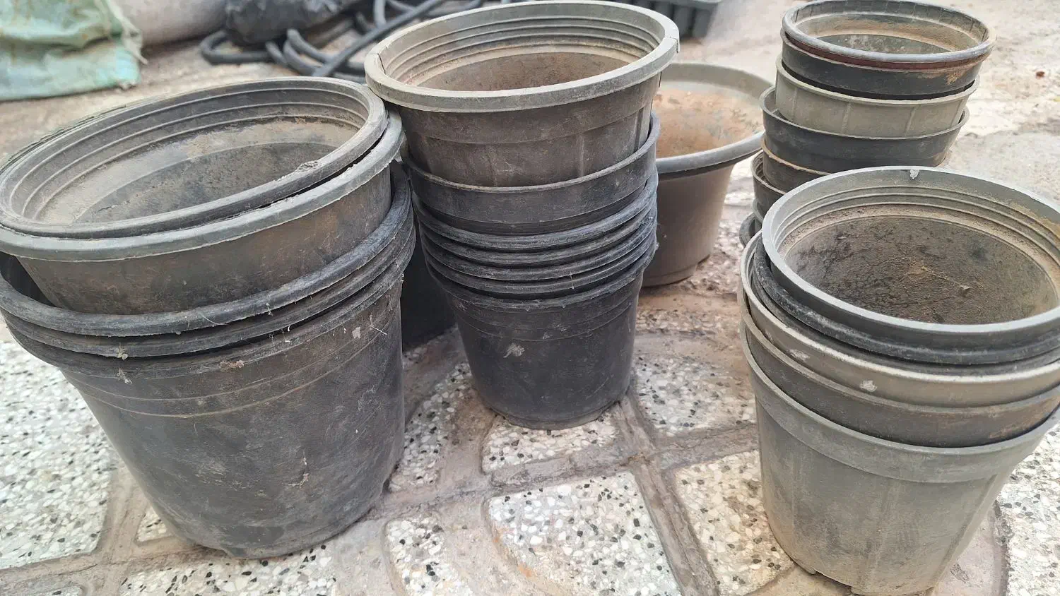 گلدان لاکی کار کرده تمیز|گل و گیاه طبیعی|نیشابور, مدرس|دیوار