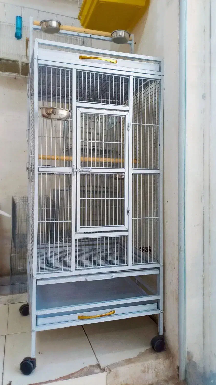 انواع مکمل وعروس هلندی و گرینچیک|پرنده|اهواز, جانبازان|دیوار