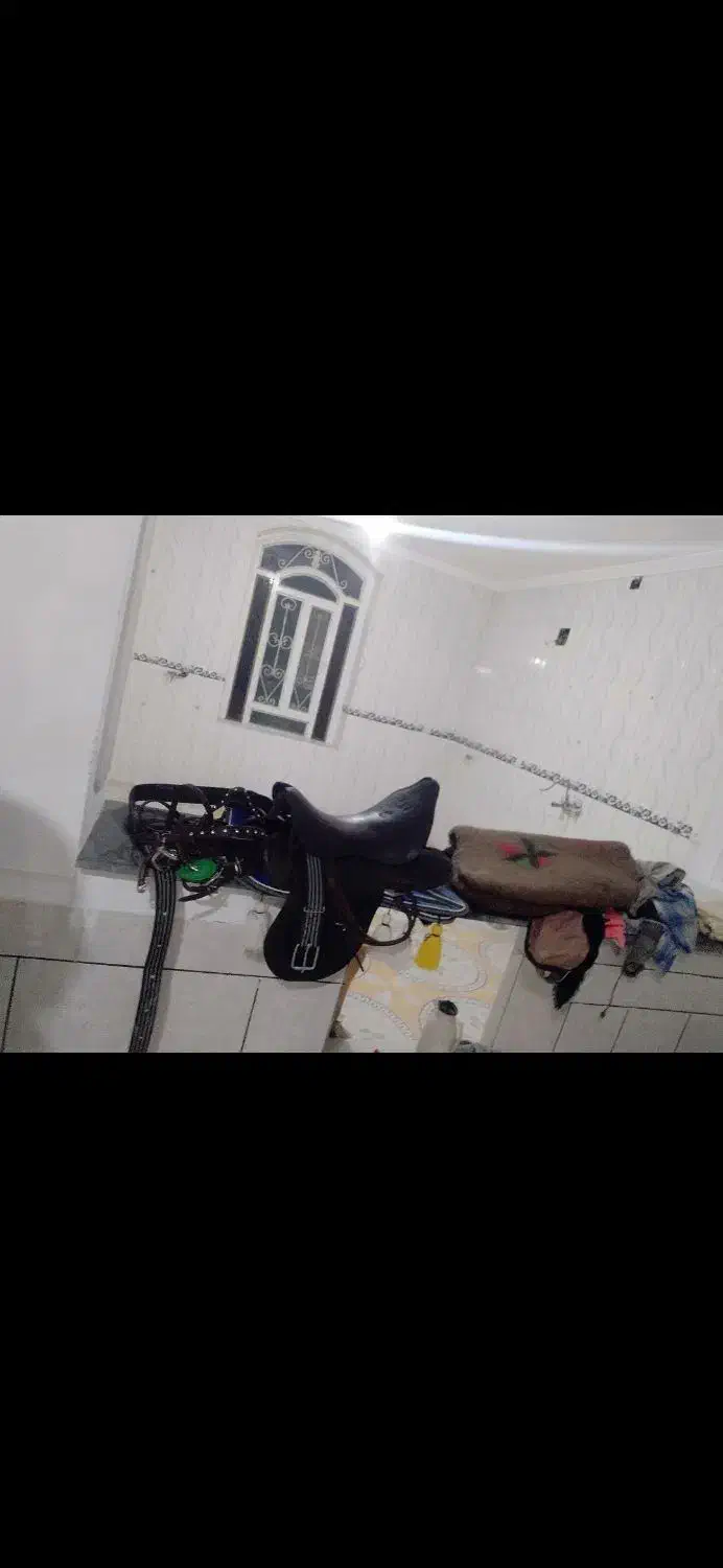 درود زین با عرق گیر با دهنه نریون ۱۵ ماه پر خون|اسب و تجهیزات اسب‌سواری|جنت, |دیوار