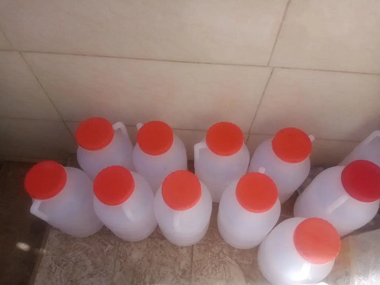 تعدادی دبه ۸ لیتری تمیز ونو.|حراج|قم, بوستان جوان|دیوار