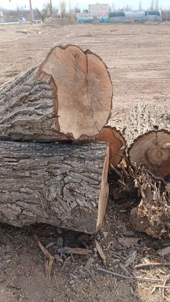 فروش تخته انواع چوب ،کیلویی و فله ای|مصالح و تجهیزات ساختمان|دماوند, گیلاوند|دیوار