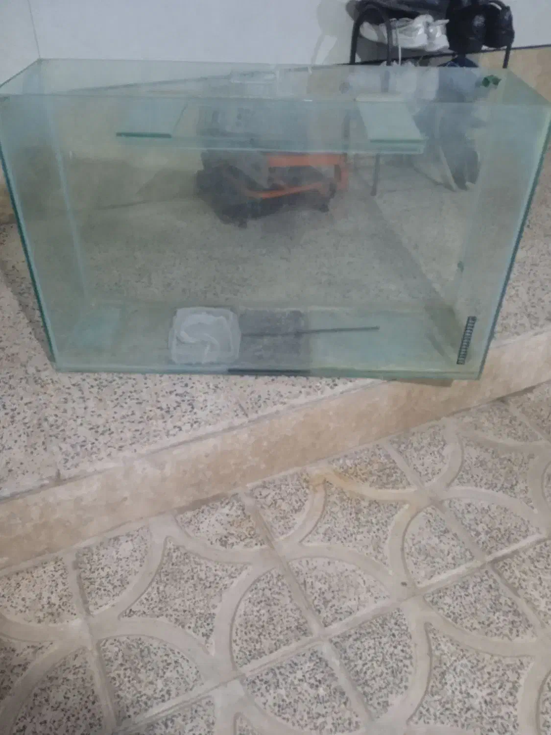 آکواریوم|ماهی|الوند, |دیوار