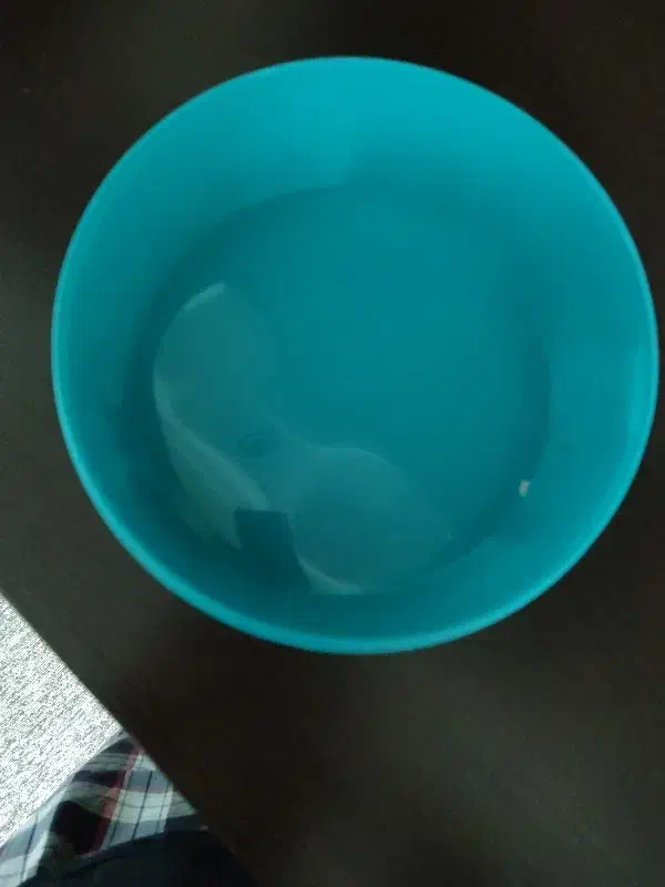 ظرف پلاستیکی|ظروف نگهدارنده، پلاستیکی، یک‌بارمصرف|اهواز, فاز ۲ پادادشهر|دیوار