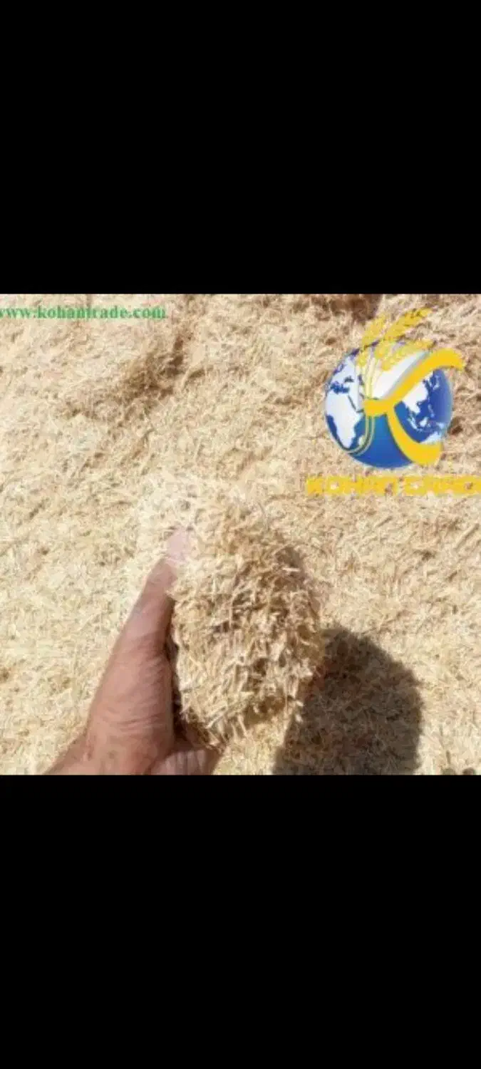 کاه کردستان نرم و گوسفندی|عمدهفروشی|آمل, |دیوار