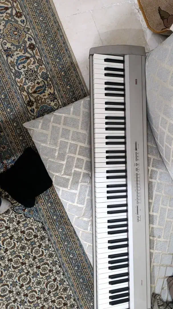 پیانو|پیانو، کیبورد، آکاردئون|زاهدان, |دیوار