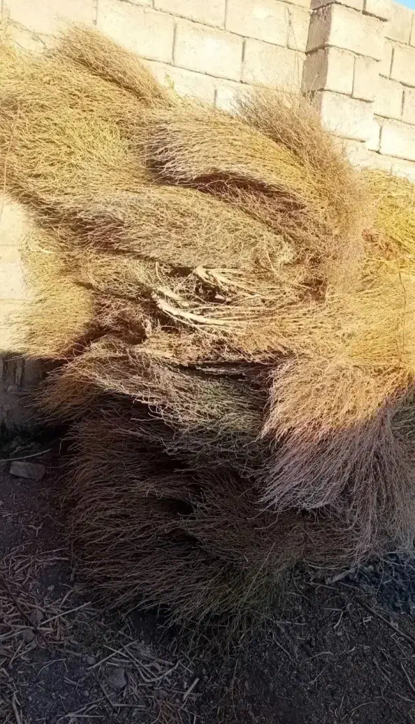 10بسته جارو دستی|لوازم نظافت|میاندوآب, |دیوار