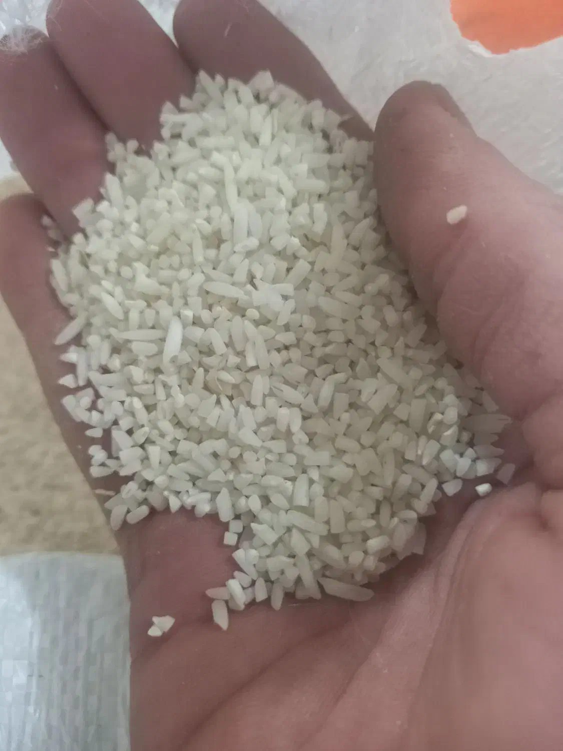 زیرقیمت کل بازار ایران|خوردنی و آشامیدنی|تاکستان, |دیوار